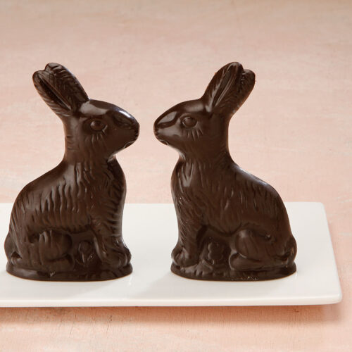 Large Bunny